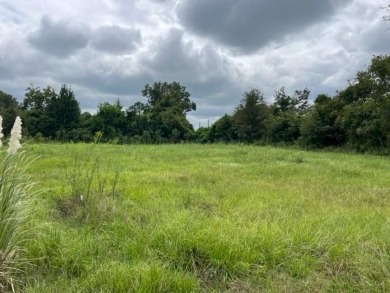 (private lake, pond, creek) Acreage For Sale in Donalsonville Georgia