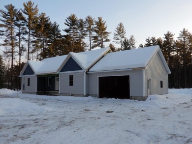 Lake Home For Sale in Limington, Maine