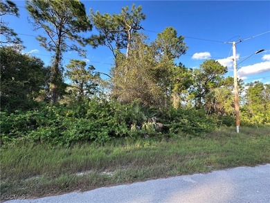 Lehigh Acres Area Lot For Sale in Lehigh Acres Florida