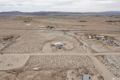 Lake Lahontan Acreage For Sale in Silver Springs Nevada