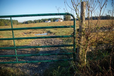 (private lake, pond, creek) Acreage For Sale in Morton Mississippi