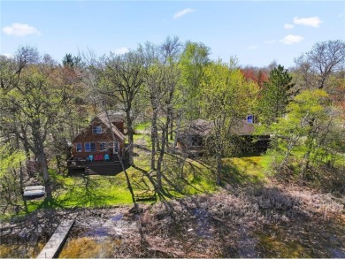 Lake Home For Sale in Silver Creek Twp, Minnesota