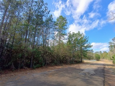 Private Lake Community, Golf Cart Friendly,
4 Camping Lots - photo 8