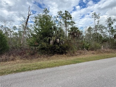2.50 acre lot located on 2nd Ave SE in Golden Gate Estates. This - photo 3