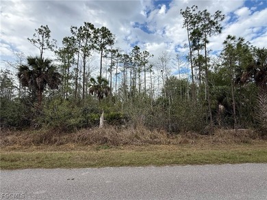 2.50 acre lot located on 2nd Ave SE in Golden Gate Estates. This - photo 4