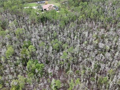 2.50 acre lot located on 2nd Ave SE in Golden Gate Estates. This - photo 8