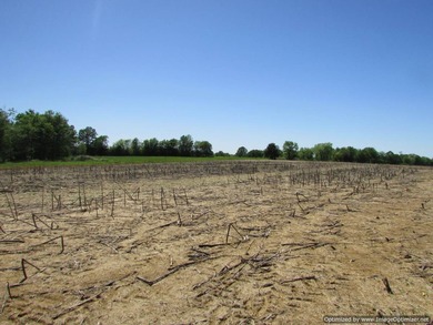 Spanning 439 acres this expansive property features rolling - photo 2