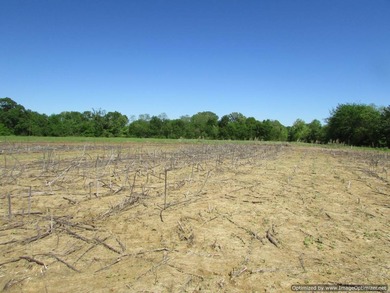 Spanning 439 acres this expansive property features rolling - photo 3