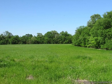 Spanning 439 acres this expansive property features rolling - photo 4