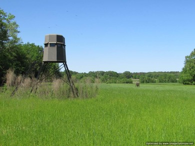 Spanning 439 acres this expansive property features rolling - photo 5