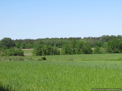 Spanning 439 acres this expansive property features rolling - photo 6