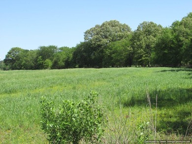 Spanning 439 acres this expansive property features rolling - photo 9