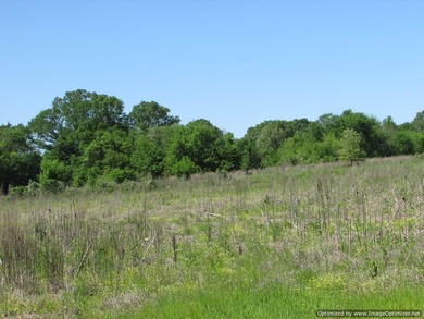 Spanning 439 acres this expansive property features rolling - photo 10