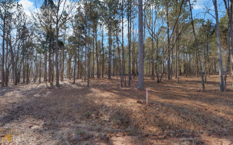 THE GEORGIA at Lake Hartwell is one of the newest subdivisions - Lake Lot For Sale in Hartwell, Georgia