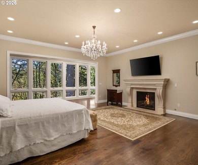 Open Tuesday 3/10 11-2: Main level living, with level entrance