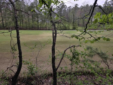 overlooking 6th fairway with beautiful views! Come join the fun - photo 2