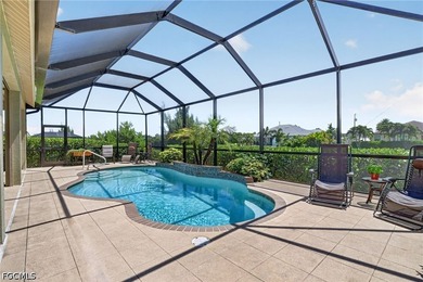 **Stunning, Meticulously Maintained Pool Home with Dock on - photo 36