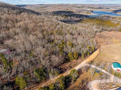 WHAT A VIEW!! Beautiful 6-acre vacant land parcel in Omaha, AR - photo 6