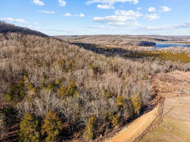 WHAT A VIEW!! Beautiful 6-acre vacant land parcel in Omaha, AR - photo 7