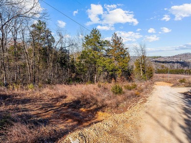 WHAT A VIEW!! Beautiful 6-acre vacant land parcel in Omaha, AR - photo 8