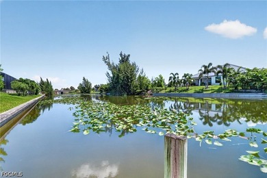 **Stunning, Meticulously Maintained Pool Home with Dock on - photo 42