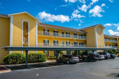Lake Condo For Sale in Punta Gorda, Florida