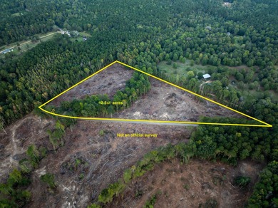 Lake Acreage For Sale in Brandon, Mississippi