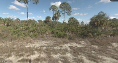 Lehigh Acres Area Lot For Sale in Lehigh Acres Florida