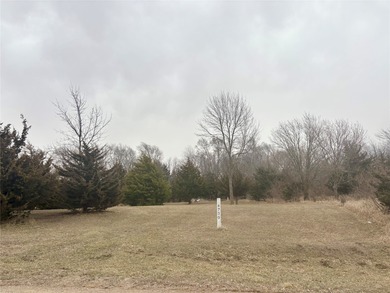 Lake Panorama Lot For Sale in Panora Iowa