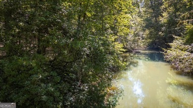 What a rare gem! Imagine 4 wooded and private acres, 750ft - photo 18