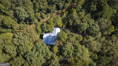 What a rare gem! Imagine 4 wooded and private acres, 750ft - photo 20