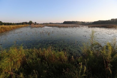 (private lake, pond, creek) Acreage For Sale in Edison Georgia