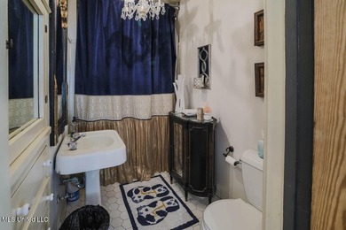 Charm, character, and craftsmanship on Historic Grand Boulevard! - photo 31