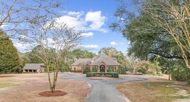 (private lake, pond, coastal) Home For Sale in Pinckard Alabama