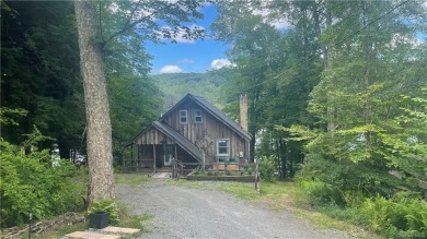 Lake Home For Sale in Fremont, New York