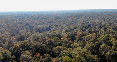 1,060+/- acres in Yazoo County with 1.7+/- miles of Big Black - photo 2