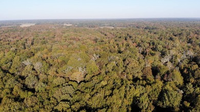 1,060+/- acres in Yazoo County with 1.7+/- miles of Big Black - photo 3