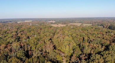 1,060+/- acres in Yazoo County with 1.7+/- miles of Big Black - photo 4