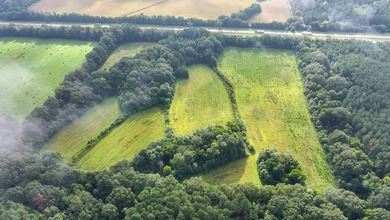 1,060+/- acres in Yazoo County with 1.7+/- miles of Big Black - photo 5