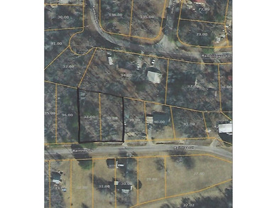 Kentucky Lake Lot For Sale in Big Sandy Tennessee