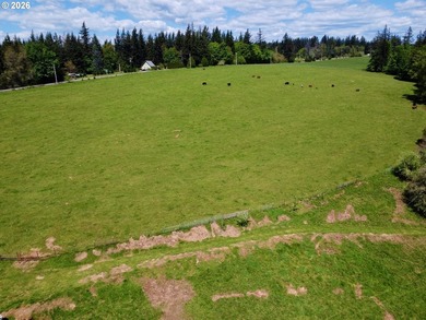 New Construction on a 38-acre ranch with the potential to expand - photo 9