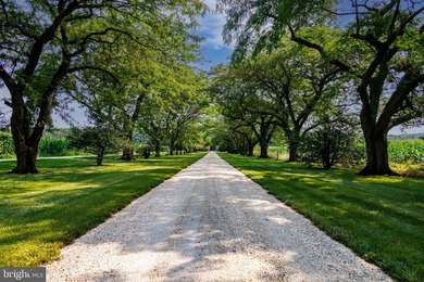 Wilderness Estate- This quintessential Eastern Shore farm is - photo 3