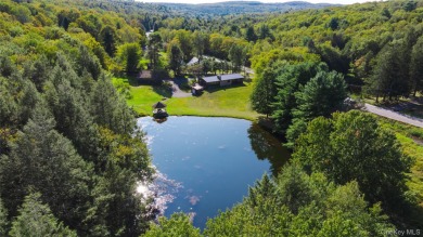 Lake Home For Sale in Woodbourne, New York