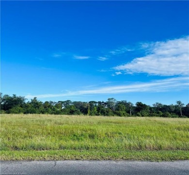 Lake Acreage For Sale in Lake Placid, Florida