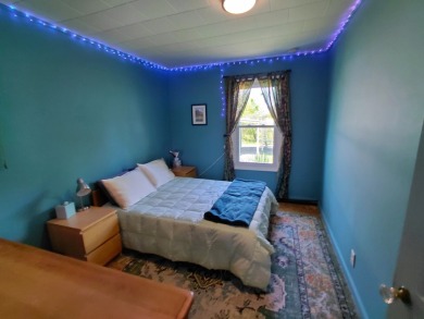 Updated Caroga Lake Getaway on 2 Lots -- Move-In Ready! - photo 8