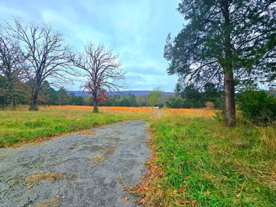 Kiamichi River Acreage For Sale in Hogen Oklahoma