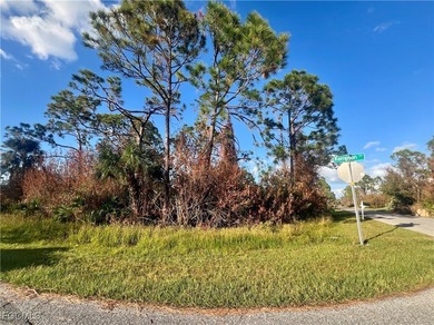 Port Charlotte Waterway Area Lot For Sale in Port Charlotte Florida
