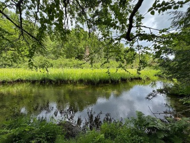 (private lake, pond, creek) Acreage For Sale in Mercer Wisconsin