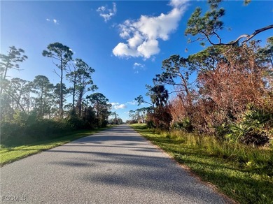 Beautifull oversized corner lot offers a unique opportunity to - photo 3