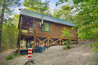 Discover a rare opportunity on Bill Green Pond with this - photo 35